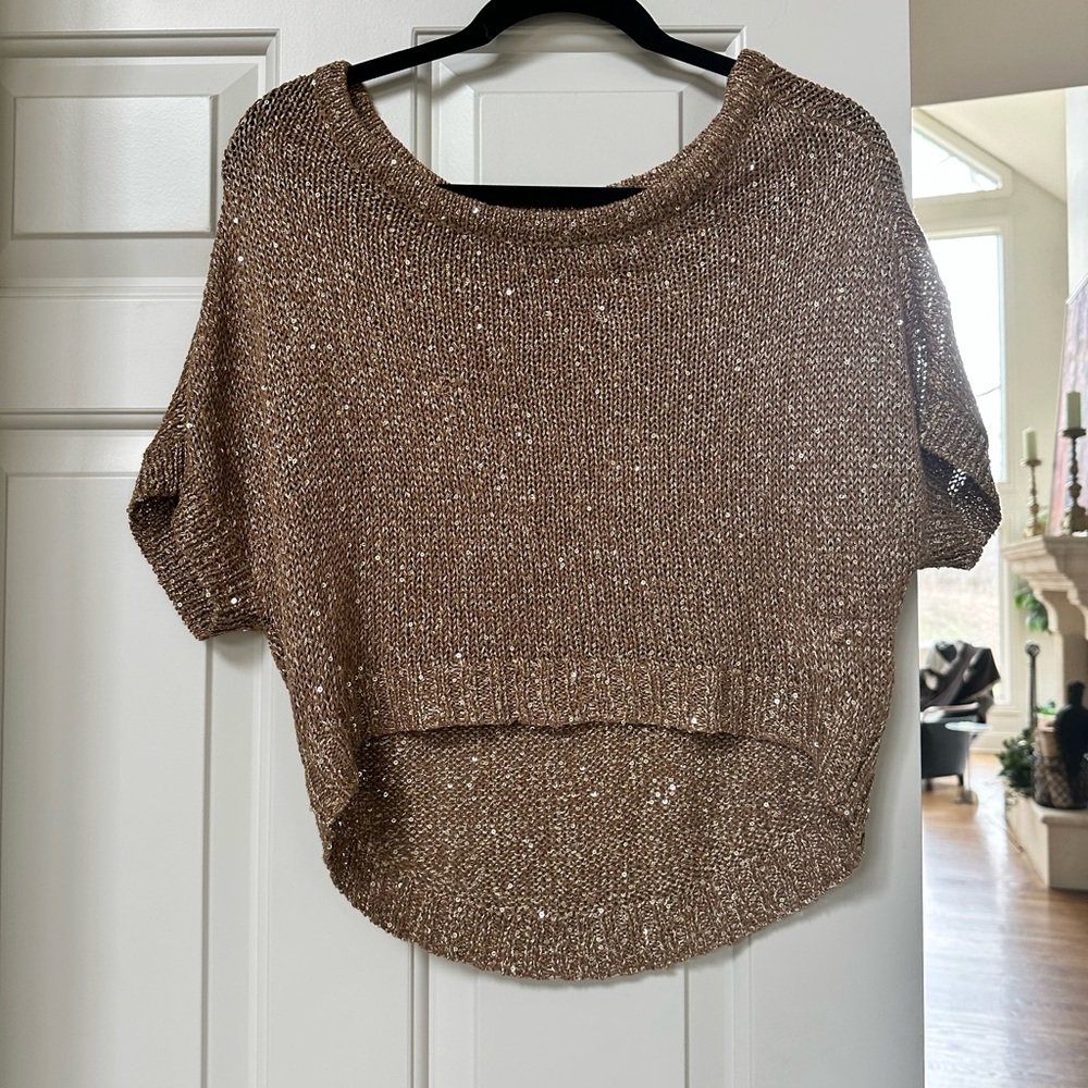 Sparkling Brown Robbi & Nikki by Roberto Rodriguez Knit Sweater